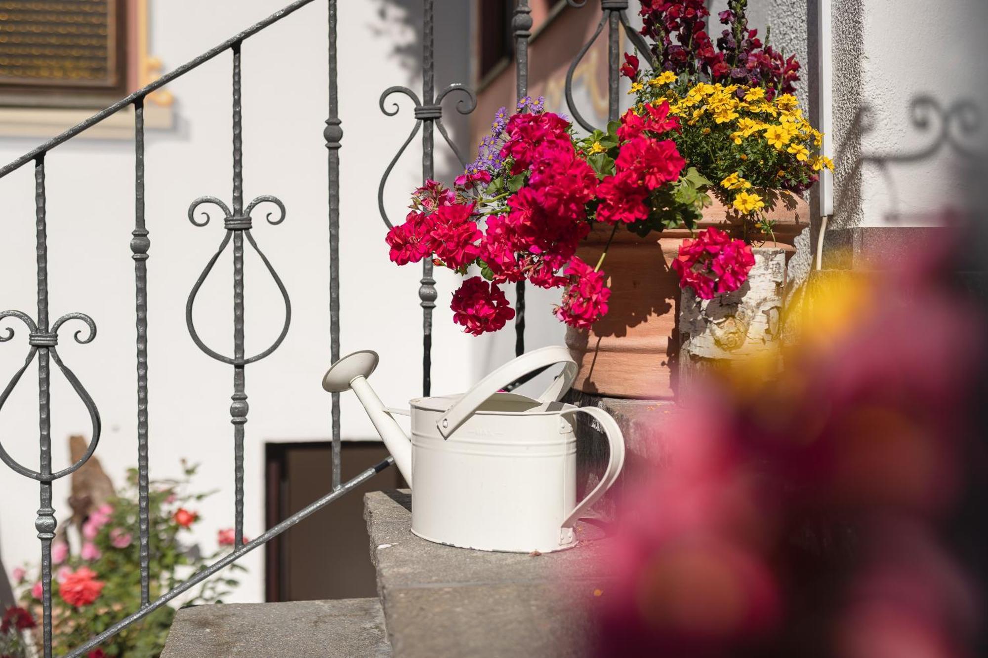 Pension Gulla - Ferienhaus Appartements B&B Neustift im Stubaital Exterior photo